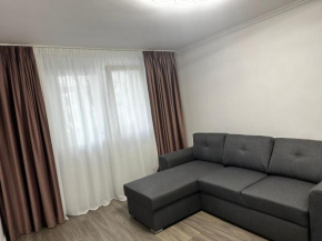 Aparthotel Lacul Tei